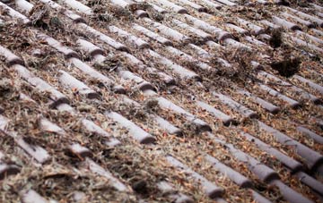 Harnham roof cleaning companies