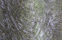 Harnham fibreglass roof work